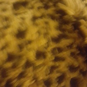 Meet your Posher, Serwaa